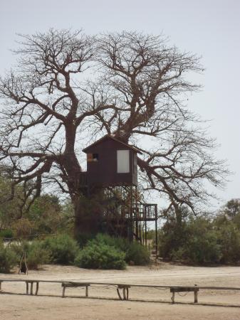 Sénégal Mai 2011