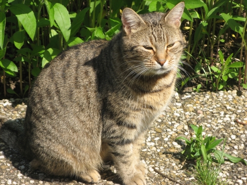 Squatter de Stéphaline.jpg