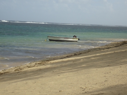 DSC00203.jpg