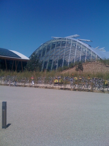 Center 6.JPG