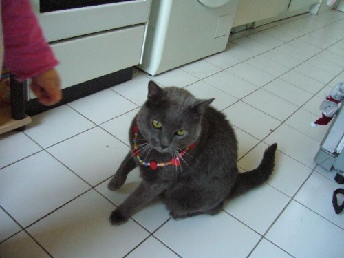 Lilou 1.jpg