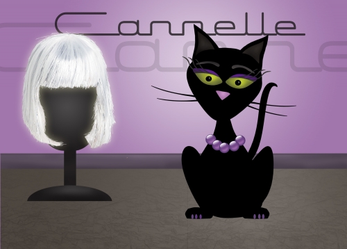 Cannelle Perruque copie.jpg