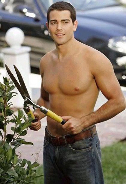 jesse-metcalfe-dans-desperate-housewives-image-510926-article-ajust_930.jpg