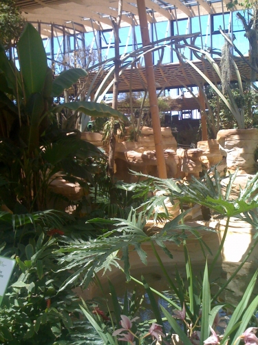 center 8.JPG