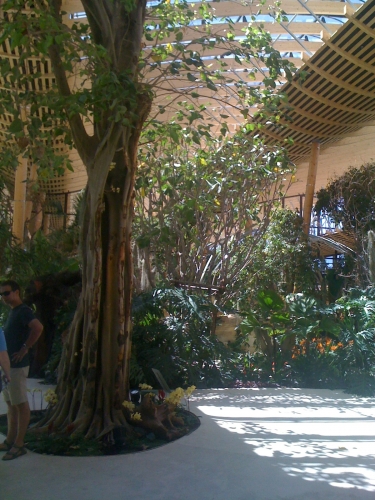 Center 12.JPG
