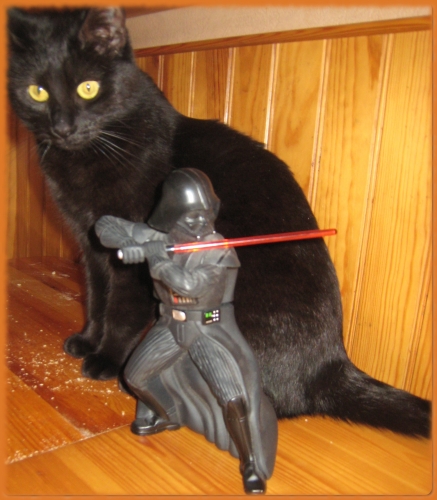 Cannelle Dark Vador.jpg
