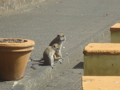 DSC00403.jpg