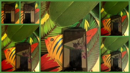 2011-08-24.jpg
