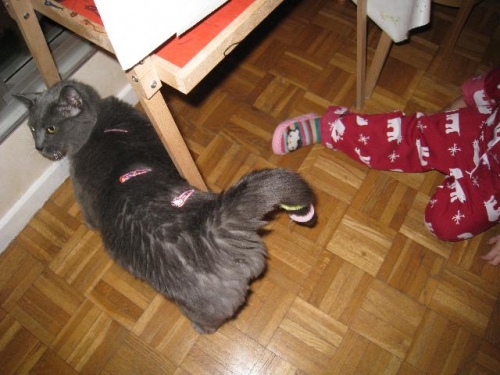 Lilou 2.jpg